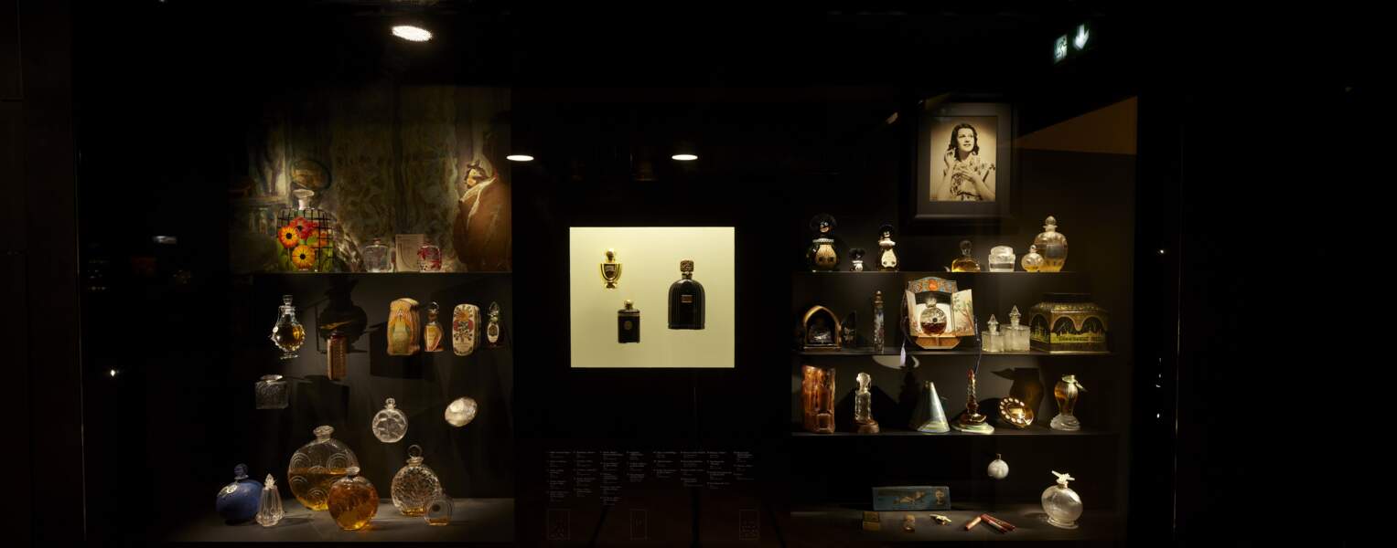 Vitrine du nouveau Musée du parfum, Paris