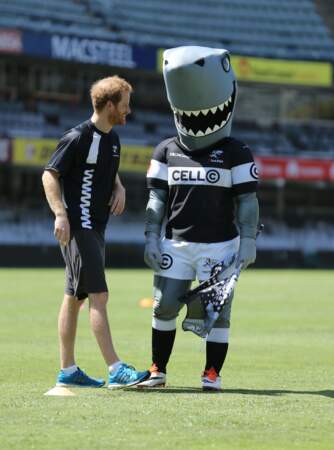 Le Prince Harry et son ami le requin qui lui veut du bien