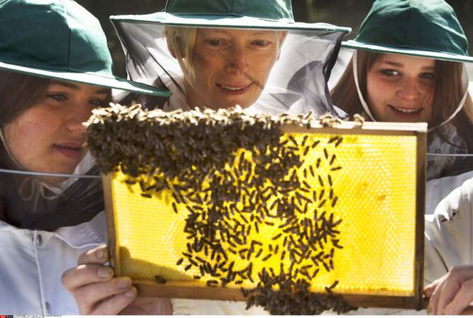 Tilda Swinton est HAPPY en apicultrice