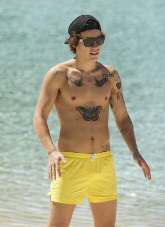 Tatouages de stars: Harry Styles (ex-One Direction) et son papillon géant sur le torse