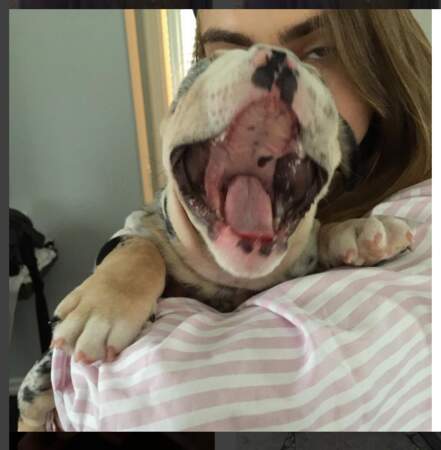 Cara Delevingne en pleine communion avec le chien de Kylie