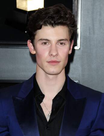 Shawn Mendes  aux Grammy Awards 2019, Los Angeles