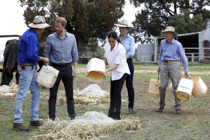 Meghan Markle et le prince Harry en visite dans une ferme familiale de Dubbo