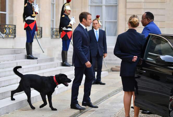 Nemo, le chien de Brigitte et Emmanuel Macron, fait ses premiers pas devant les photographes à l'Elysée