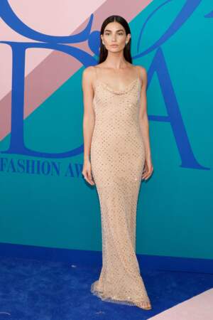 CFDA Fashion Awards 2017 - Lily Aldridge
