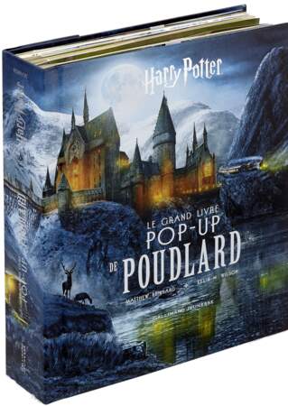 Le grand Livre Pop up de Poudlard / Gallimard Jeunesse / 70 €