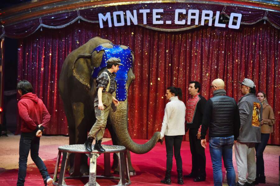 Festival du cirque de Monte-Carlo : Stéphanie de Monaco avec l'éléphant de la famille de Joy Gartner