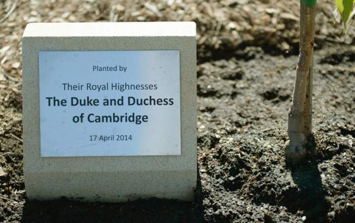 "Planté par leurs Altesses Royales le duc et la duchesse de Cambridge, le 17 avril 2014"