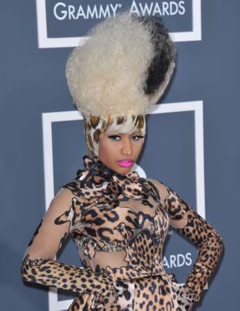 Toiletteur demandé d'urgence pour Nicki Minaj 
