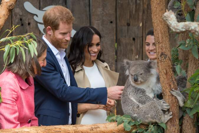 Le prince Harry et Meghan Markle ont visité le zoo de Taronga à Sydney