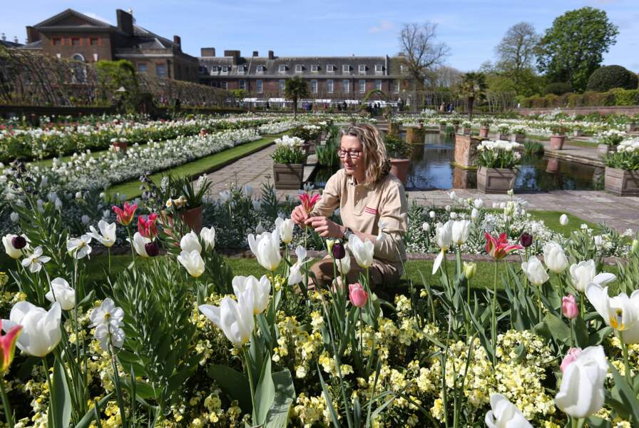 Lady Diana a été mise à l'honneur avec ce jardin