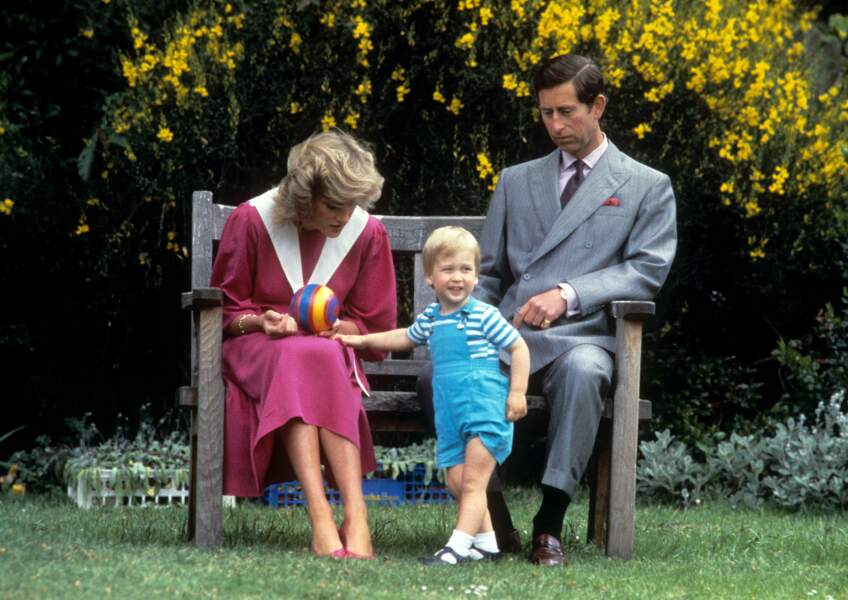 Le jardin était un espace que Lady Diana affectionnait tout particulièrement
