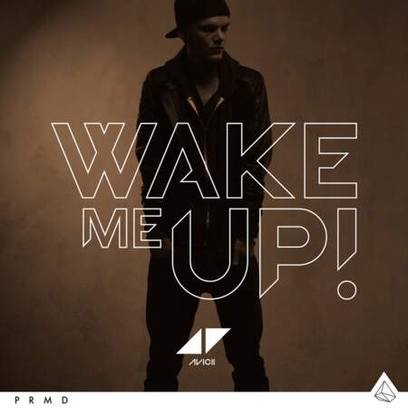6. Avicii - Wake Me Up ! (171 000 ventes)