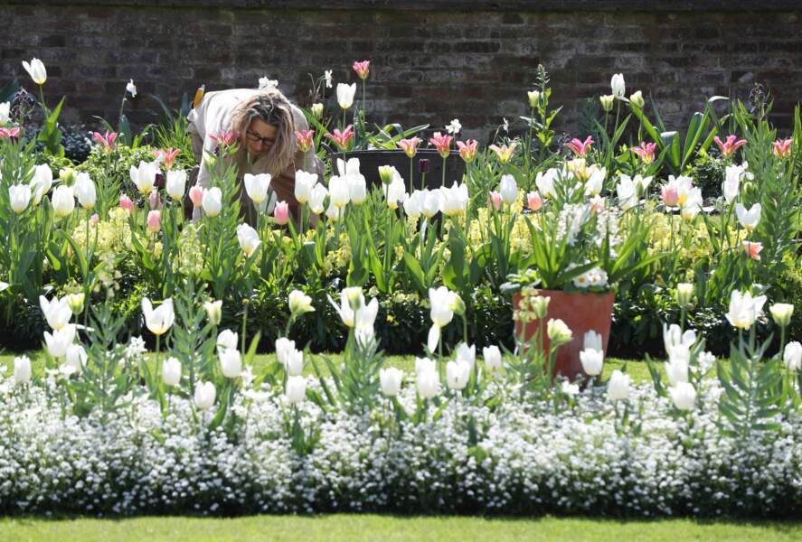 Les horticulteurs se sont inspirés des tenues portées par Lady Diana pour choisir les fleurs