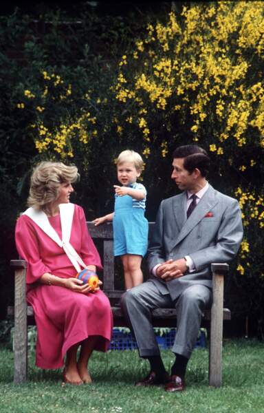 C'est dans ce jardin que Lady Diana a vu grandir ses enfants