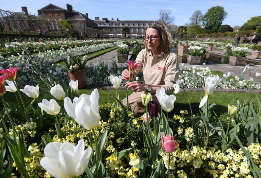 Les jardiniers de Kensington ont voulu rendre hommage à leur façon à Lady Diana