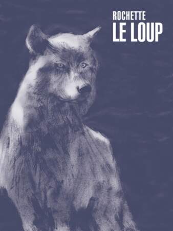 Le Loup, edition luxe, Jean-Marc Rochette / Casterman, 35€