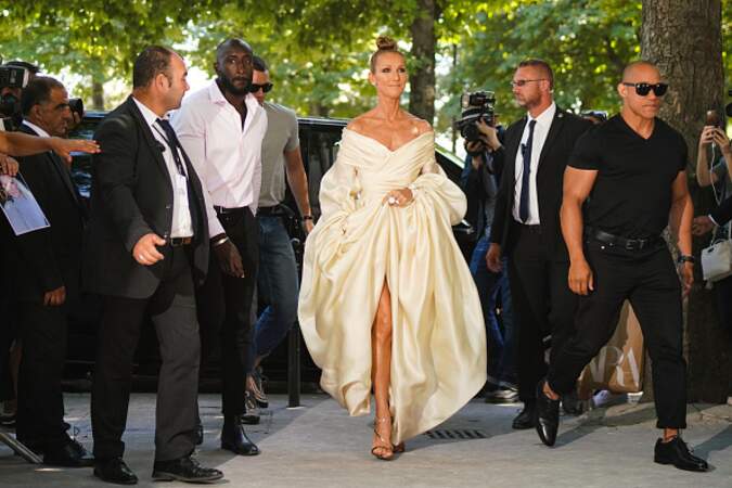 Do Céline Dion : Le mix des volumes entre les manches amples et la robe près du corps 