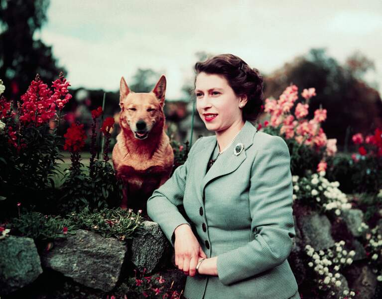Elizabeth II au château de Balmoral, 1952.