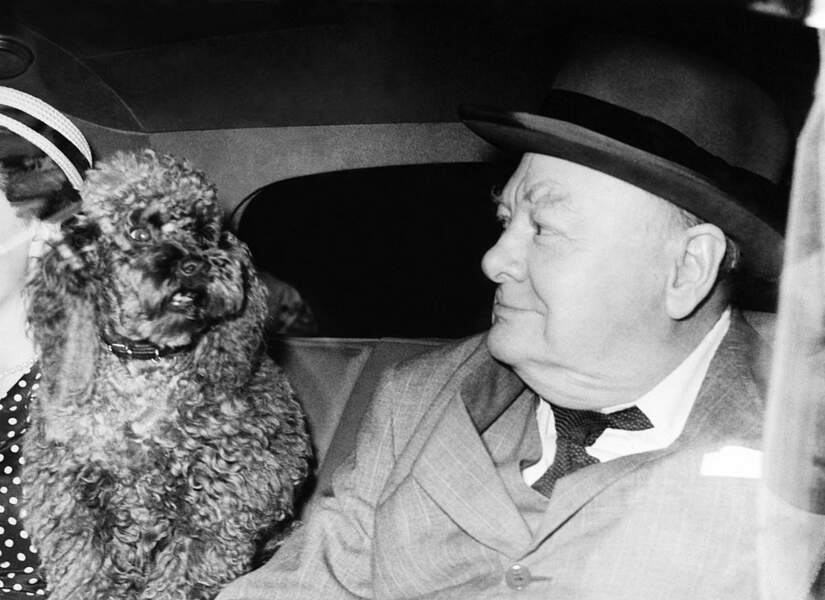 Winston Churchill avec son chien Poodle. 