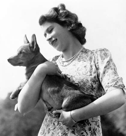La reine Elizabeth célèbre ses 96 ans : la princesse Elizabeth (1950) avec un Corgi, sa race de chien favorite  