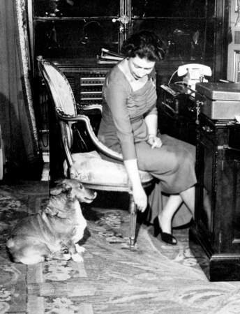 La reine Elizabeth célèbre ses 96 ans : avec ses chiens adorés, 1959