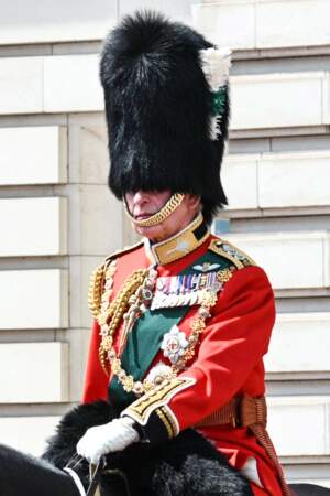 Jubilé de platine d'Elizabeth II : le prince Charles