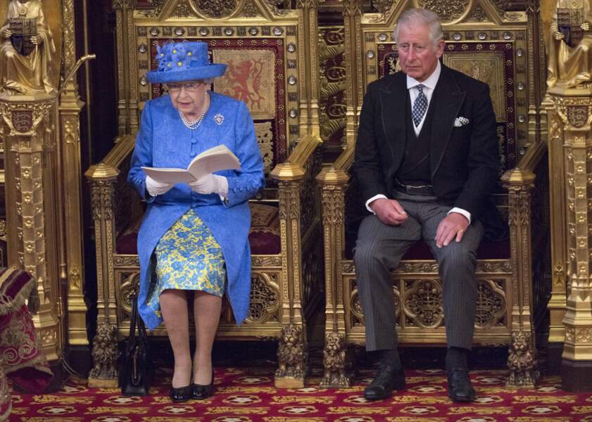 Destiné à accéder au trône, Charles s'était vu confier, par la reine Elizabeth II, plusieurs de ses prérogatives