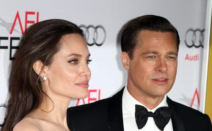 En 2008, Brad Pitt (45 ans) et Angelina Jolie accueillent des jumeaux.