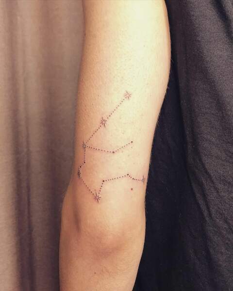 Constellation 