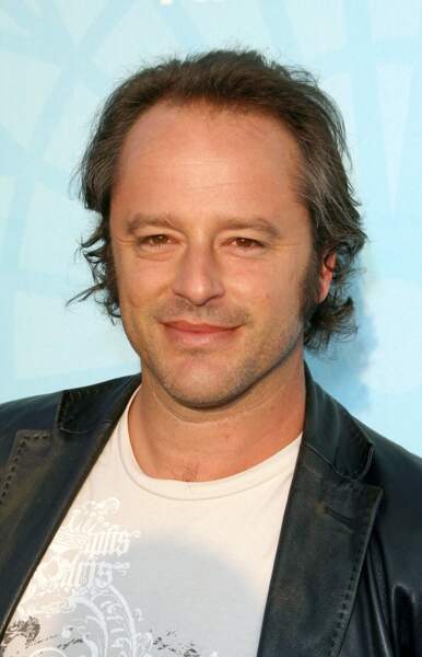 Gil Bellows incarnait Billy, le grand amour d'Ally.