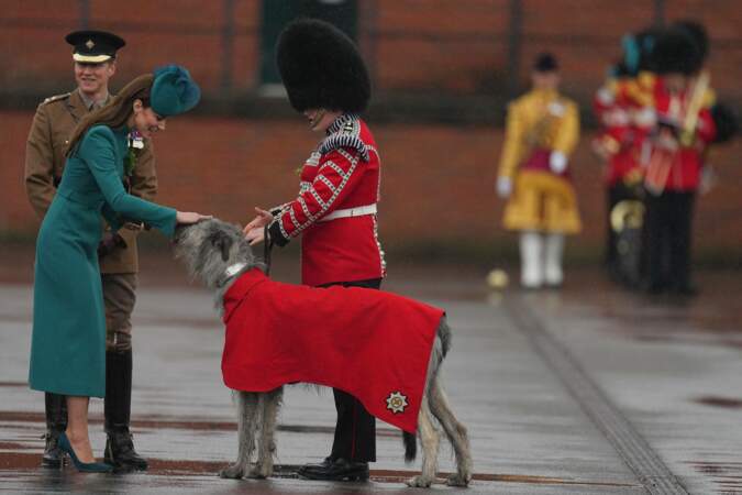Comme chaque année, Kate retrouve la mascotte du bataillon des gardes irlandais