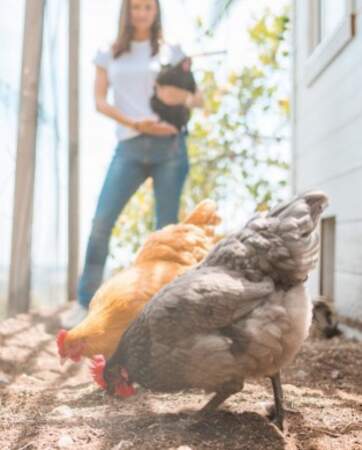 Jennifer Garner et ses poules