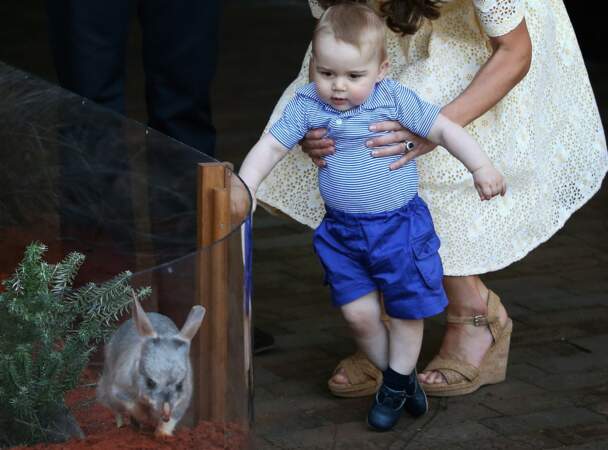 Le prince George le 20 avril 2014 lors de la visite du zoo de Taronga à Sydney, en Australie