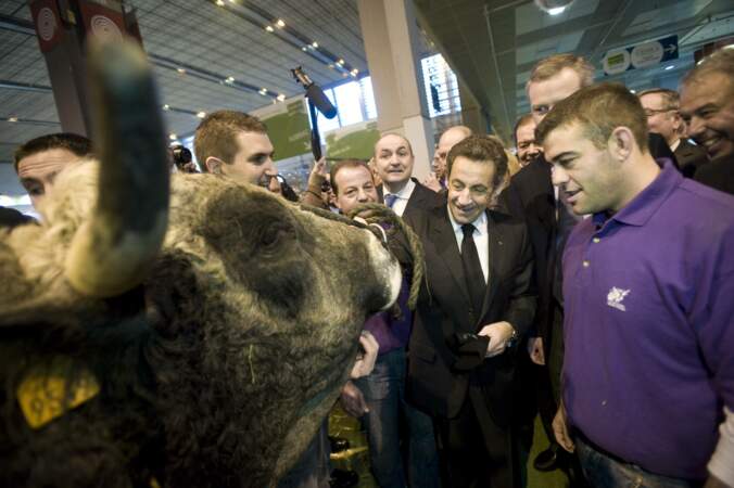 Rencontre bovine pour Nicolas Sarkozy en 2010