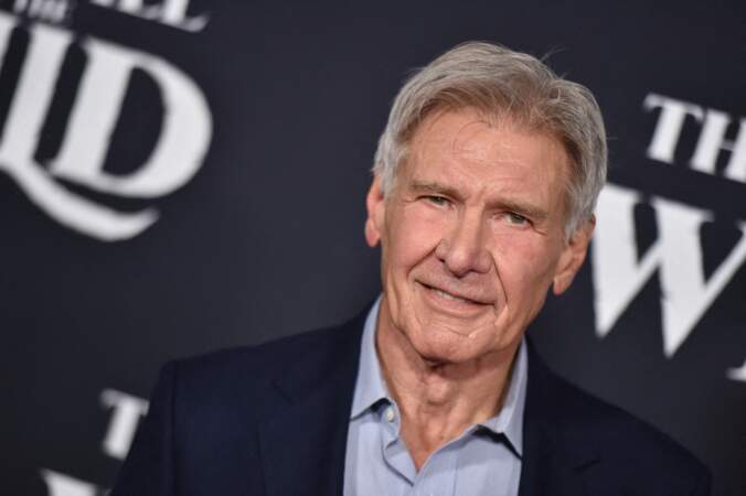 Avant de devenir acteur, Harrison Ford était charpentier !