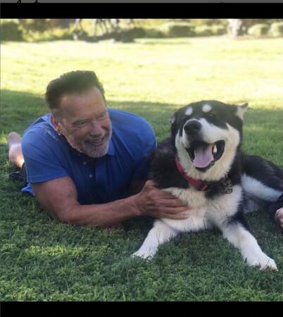 Arnold Schwarzenegger et son chien Dutch