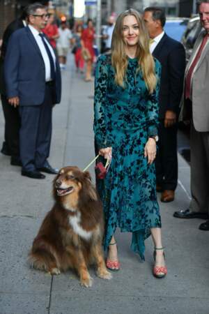 Amanda Seyfried et son chien Finn