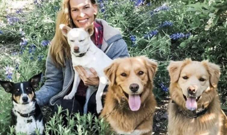 Hilary Swank et ses chiens Lucky, Karoo, Rumi et Kai