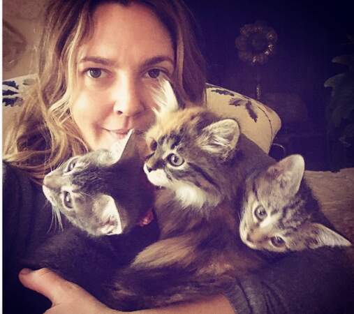 Drew Barrymore avec ses chattes Lucky, Peach et Fern 