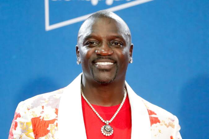 En 2014, Akon lance Akon Lighting Africa, une entreprise destinée à électrifier l'Afrique avec de l'énergie solaire