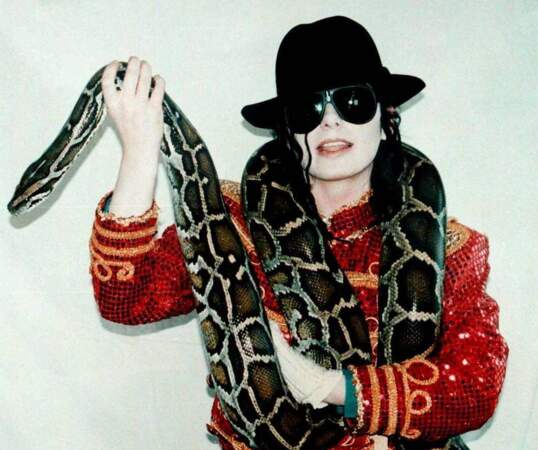 Michael Jackson a été propriétaire de plusieurs animaux exotiques, dont un serpent nommé Muscles