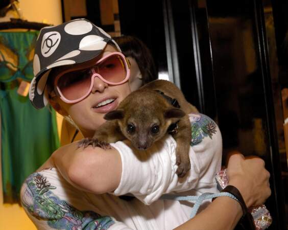 Paris Hilton est connue pour ses nombreux chiens mais elle a aussi eu un kinkajou appelé Baby Luv