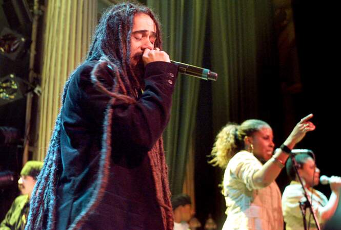 De son côté, Damian Marley a remporté un Grammy Award et connu le succès avec des tubes comme Welcome to Jamrock et Make it Bun Dem
