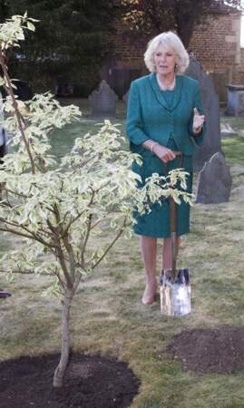 Camilla Parker-Bowles (64 ans), duchesse de Cornouailles, avec un ensemble vert en 2011
