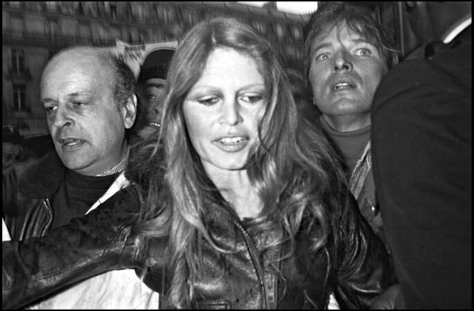 En 1976, Brigitte Bardot (42 ans) milite lors d'une manifestation pour la protection des phoques à Paris
