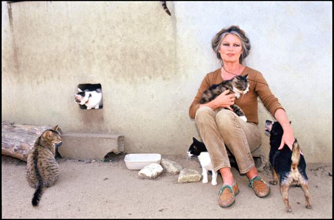 En 1991, Brigitte Bardot (57 ans) rend visite à des animaux dans un local de la SPA à Paris