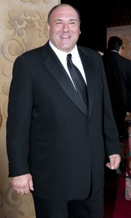 L'acteur regretté James Gandolfini a été payé près d'un million de dollars par épisode pour son rôle de Tony Soprano, dans la série du même nom