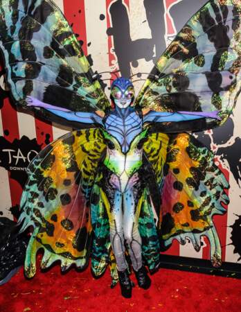 Ce n'est certainement pas Heidi Klum, c'est sûr. En 2014, elle est méconnaissable déguisée en papillon (de lumière ?) 