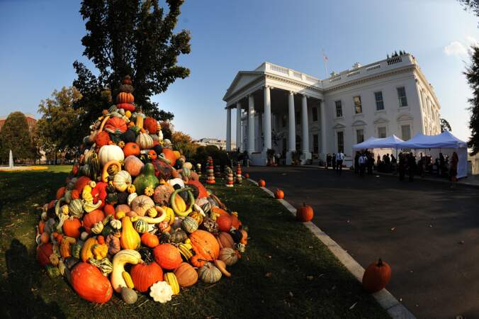 La Maison Blanche est entourée de plein de citrouilles en 2010. Vont-elles prendre vie dans la soirée du 31 octobre ? Barack Obama et sa femme Michelle devaient être terrifiés !